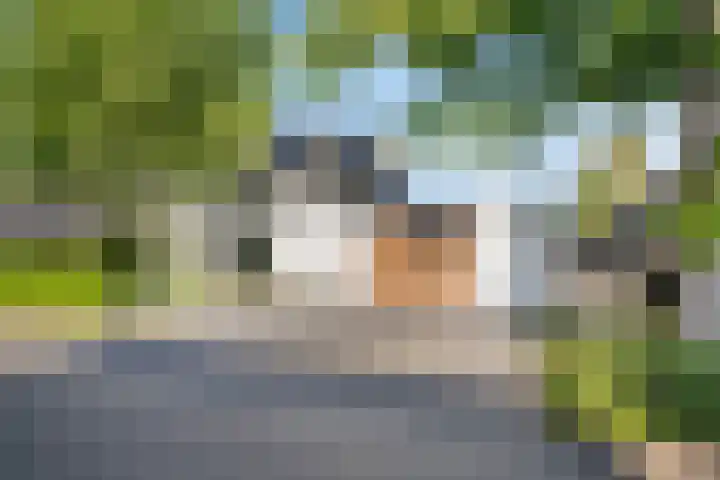 Beekstraat 22 E Nuenen thumbnail 61