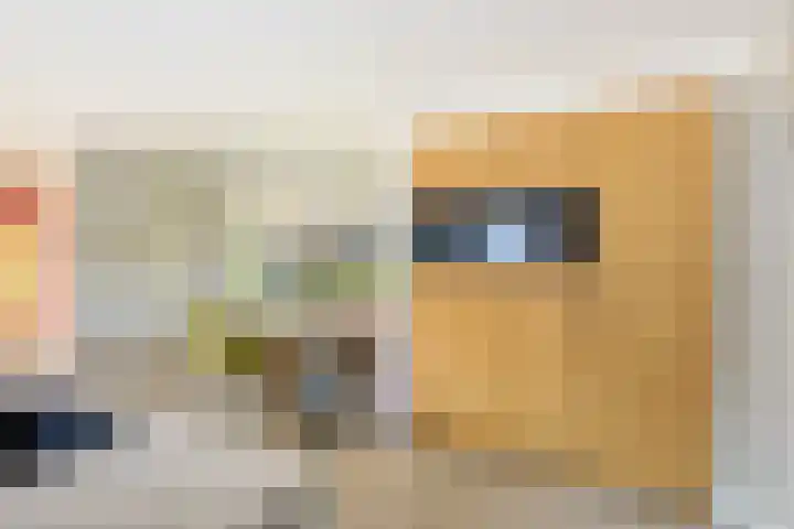 Beekstraat 22 E Nuenen thumbnail 67