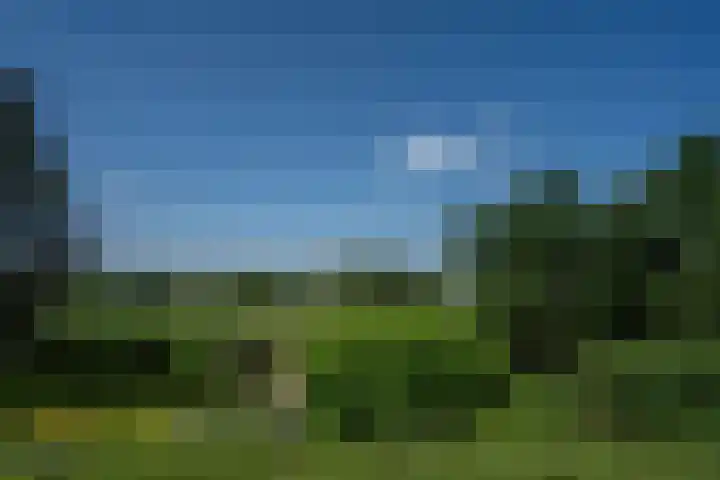 Beekstraat 28 Beesel thumbnail 13