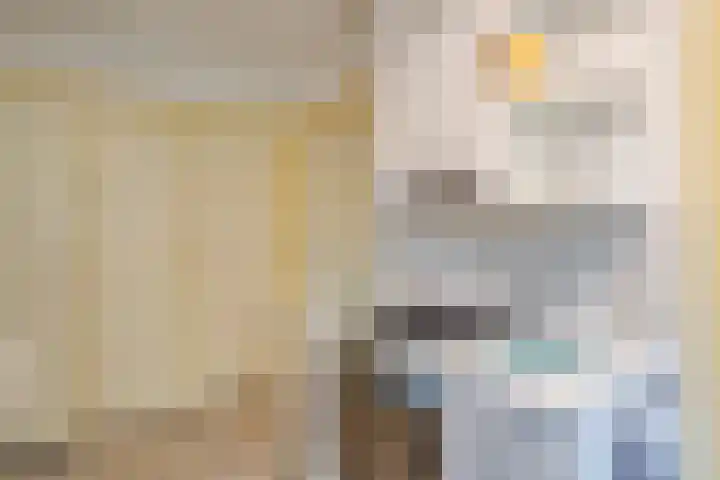 Beekstraat 28 Beesel thumbnail 35