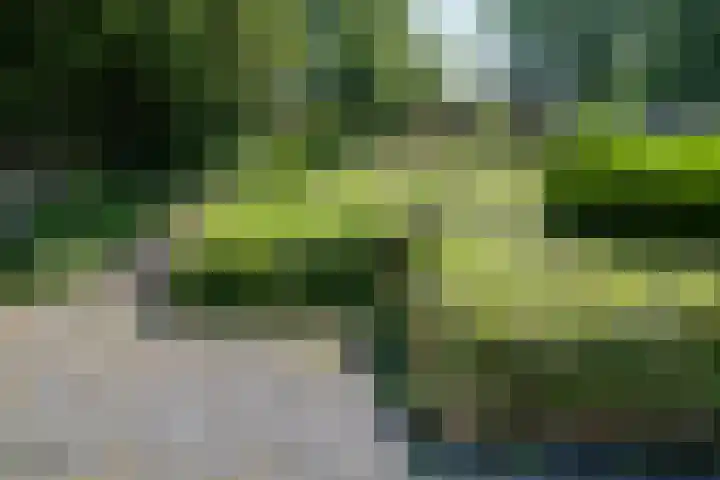 Beekstraat 28 Beesel thumbnail 4