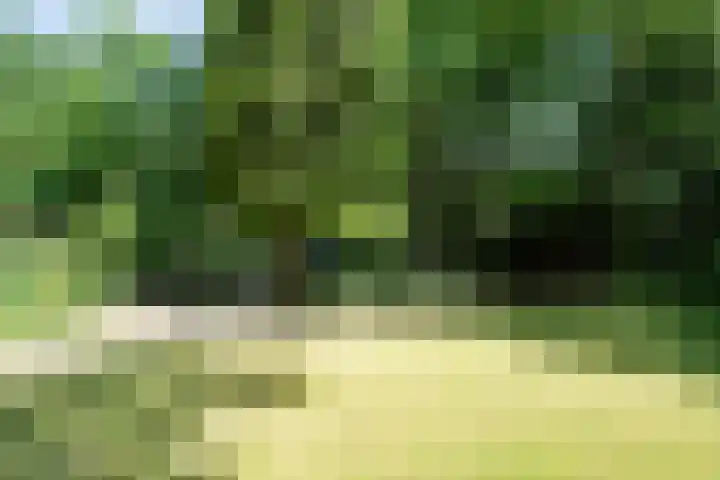 Beekstraat 28 Beesel thumbnail 42