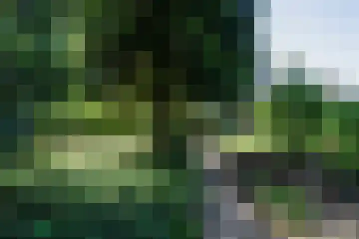 Beekstraat 28 Beesel thumbnail 47