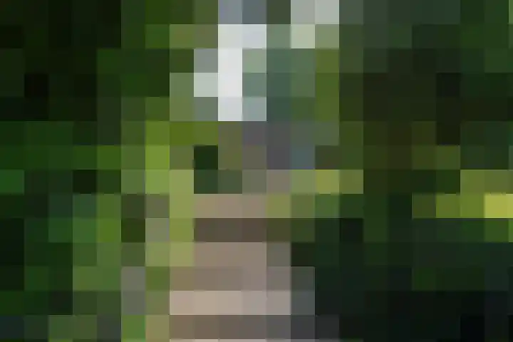 Beekstraat 28 Beesel thumbnail 5