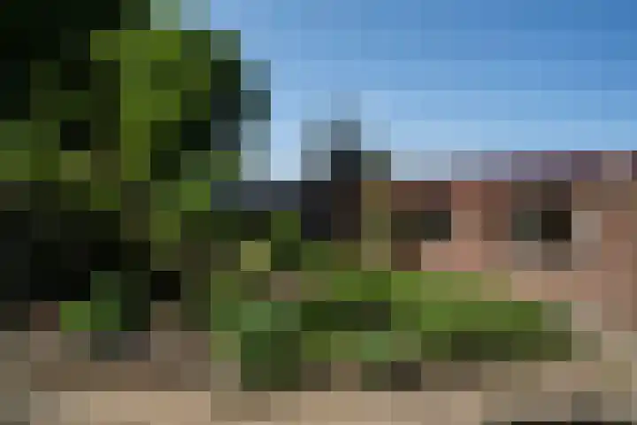 Beekstraat 28 Beesel thumbnail 50