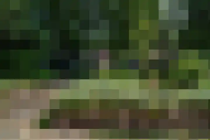Beekstraat 28 Beesel thumbnail 54