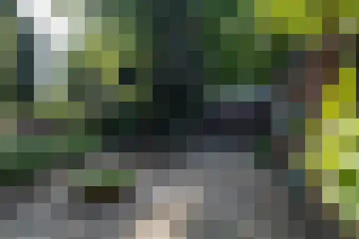 Beekstraat 28 Beesel thumbnail 55