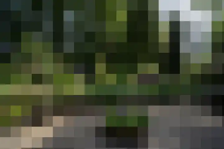 Beekstraat 28 Beesel thumbnail 56