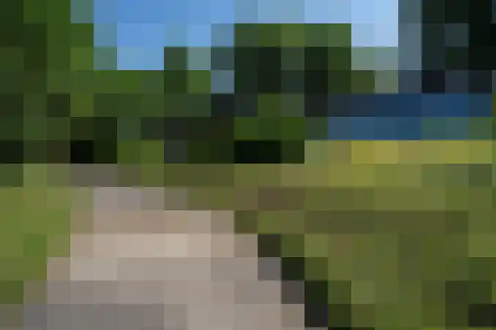 Beekstraat 28 Beesel thumbnail 8