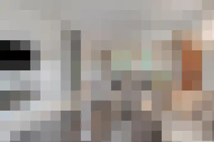 Beekstraat 3 Horst thumbnail 13
