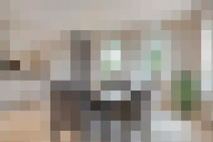 Beekstraat 3 Horst thumbnail 14