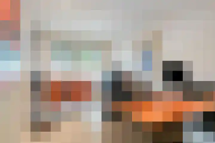 Beekstraat 3 Horst thumbnail 30