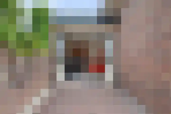 Beekstraat 3 Horst thumbnail 33