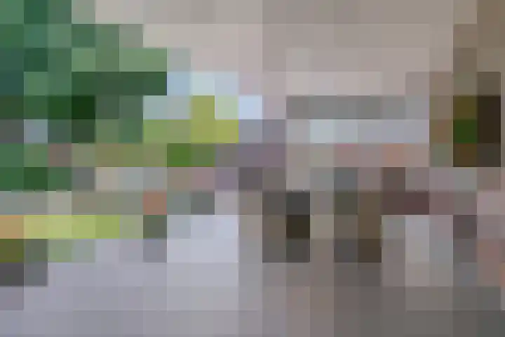Beekstraat 3 Horst thumbnail 48