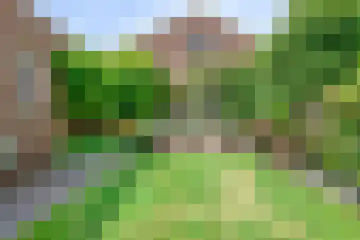 Beekstraat 3 Horst thumbnail 51
