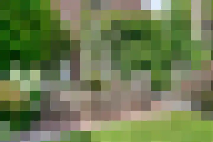 Beekstraat 3 Horst thumbnail 52