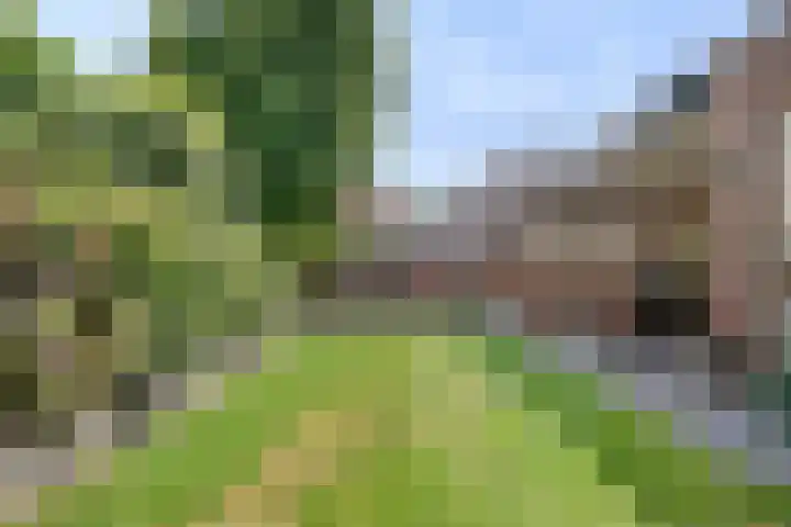 Beekstraat 3 Horst thumbnail 53