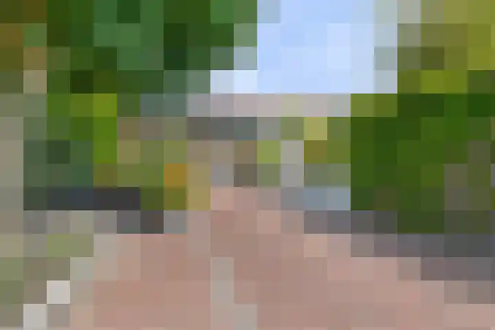 Beekstraat 3 Horst thumbnail 55
