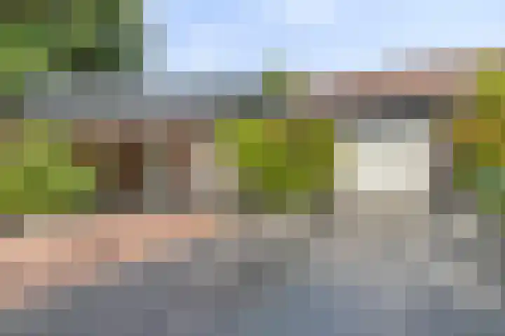 Beekstraat 3 Horst thumbnail 57