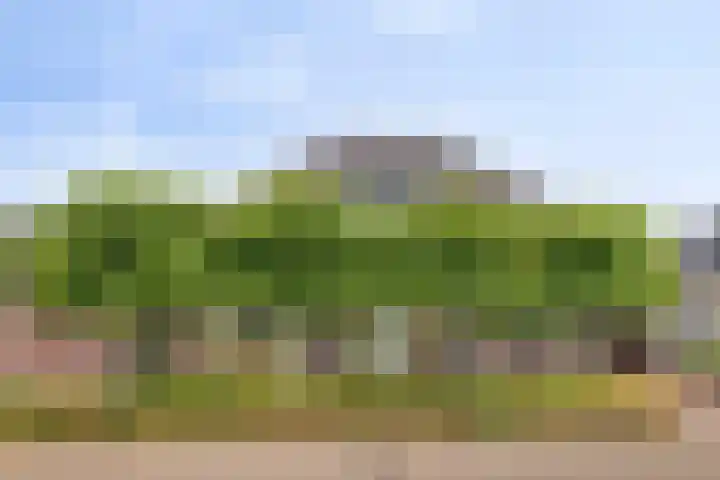 Beekstraat 3 Horst thumbnail 6