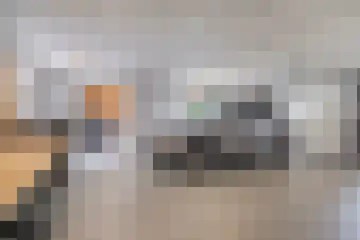 Beekstraat 3 Horst thumbnail 62