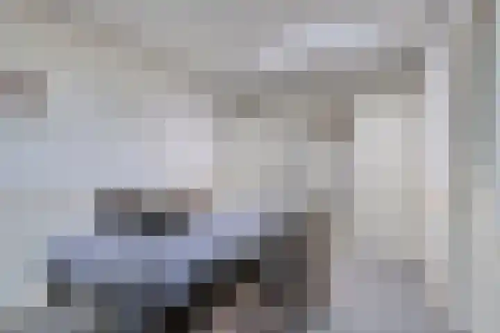 Beekstraat 3 Horst thumbnail 66