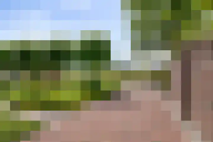 Beekstraat 3 Horst thumbnail 7