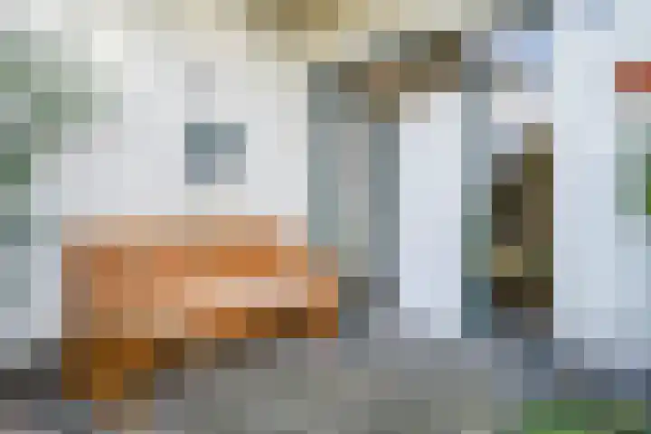 Beekstraat 32 Beesel thumbnail 12