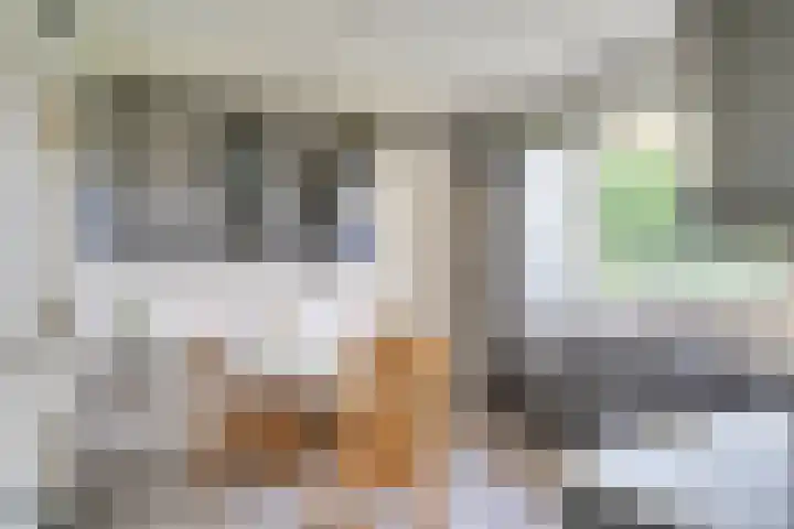 Beekstraat 32 Beesel thumbnail 17