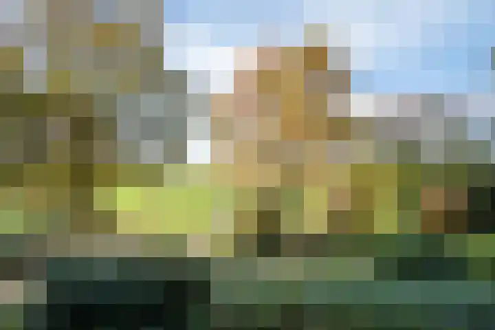 Beekstraat 32 Beesel thumbnail 31