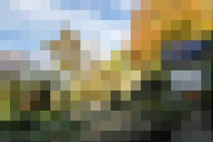 Beekstraat 32 Beesel thumbnail 32