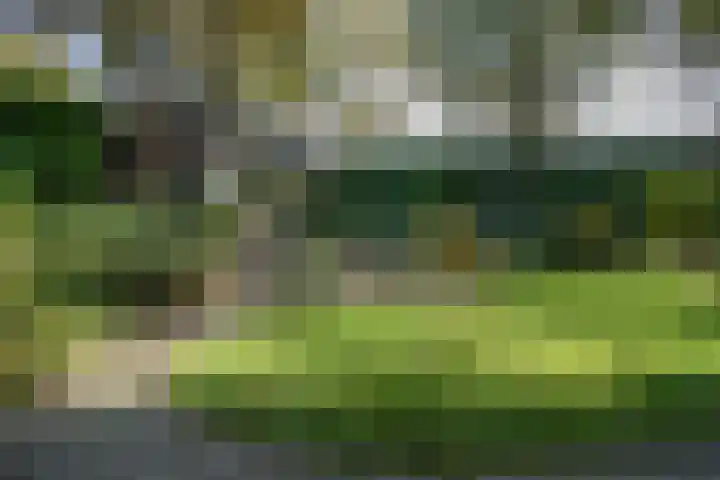 Beekstraat 32 Beesel thumbnail 49