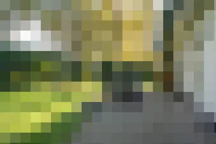 Beekstraat 32 Beesel thumbnail 50