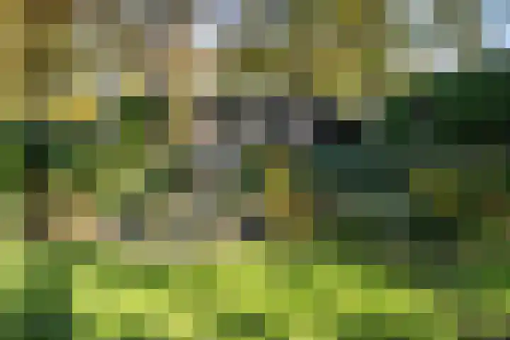 Beekstraat 32 Beesel thumbnail 56