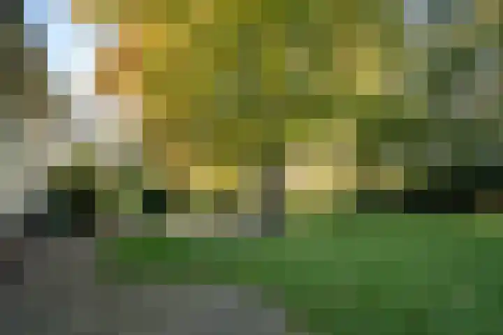 Beekstraat 32 Beesel thumbnail 59