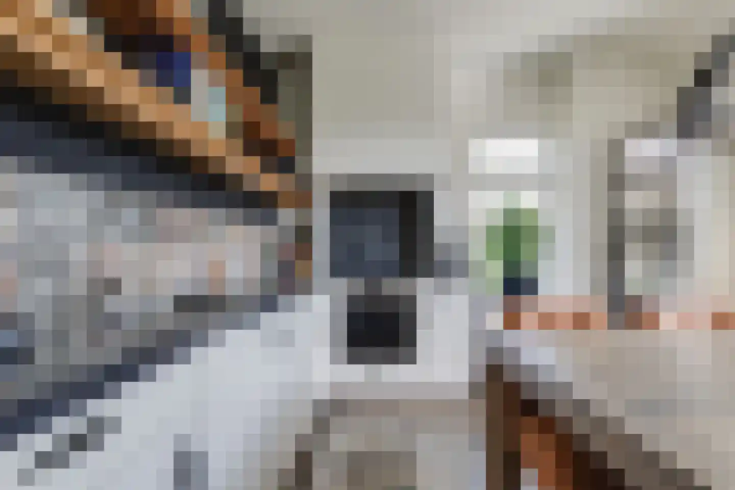 Beekstraat 42 Gaanderen thumbnail 11