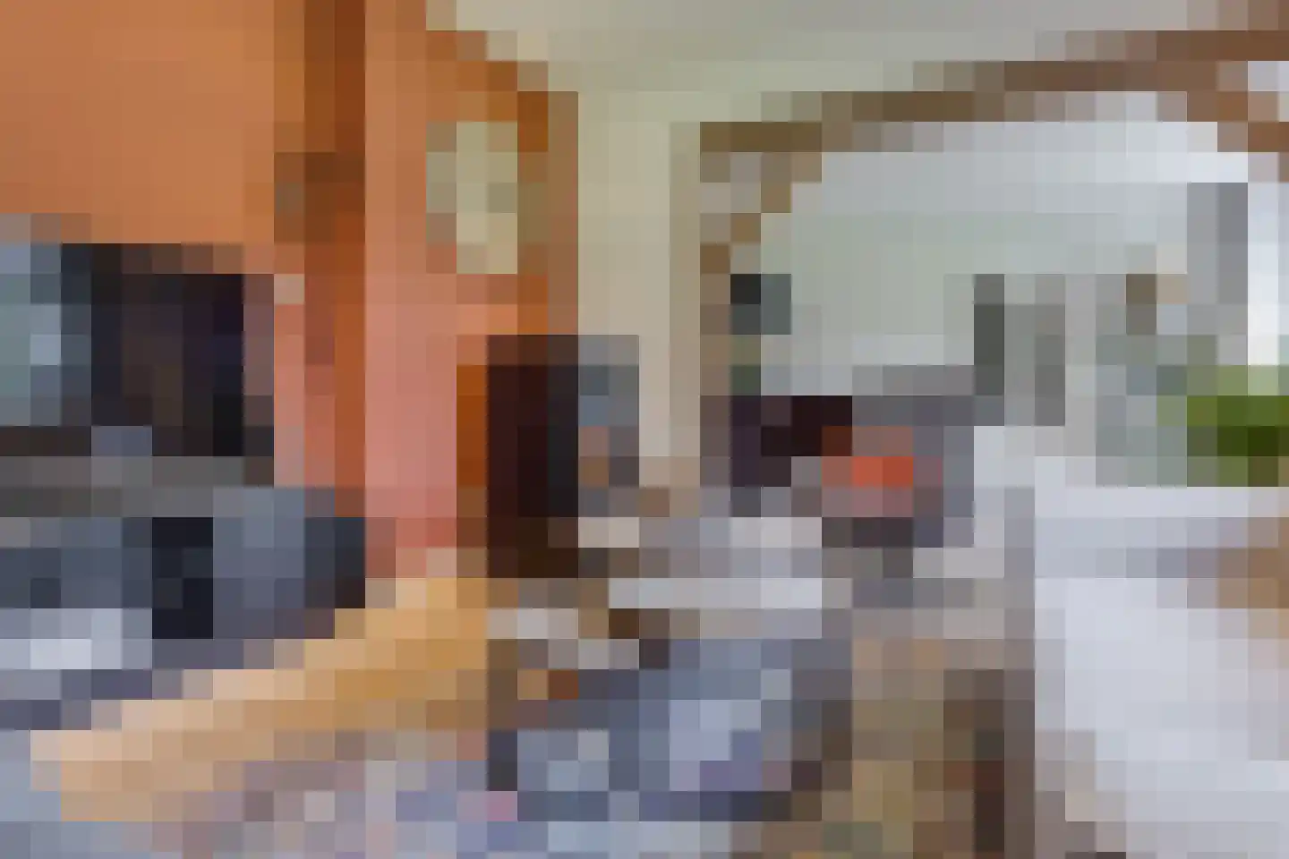 Beekstraat 42 Gaanderen thumbnail 20
