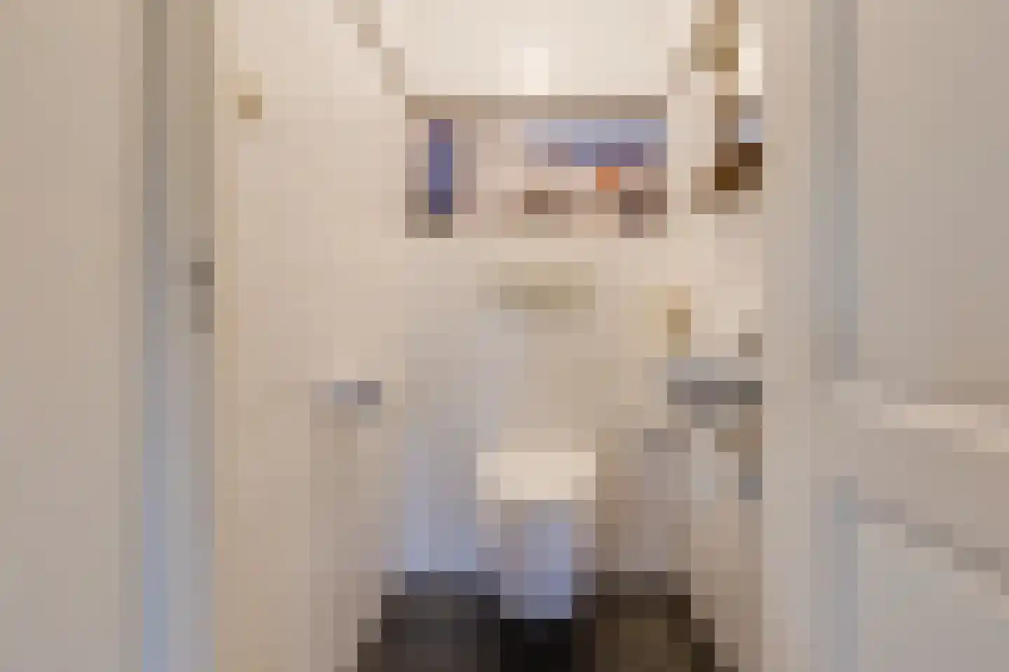 Beekstraat 42 Gaanderen thumbnail 24