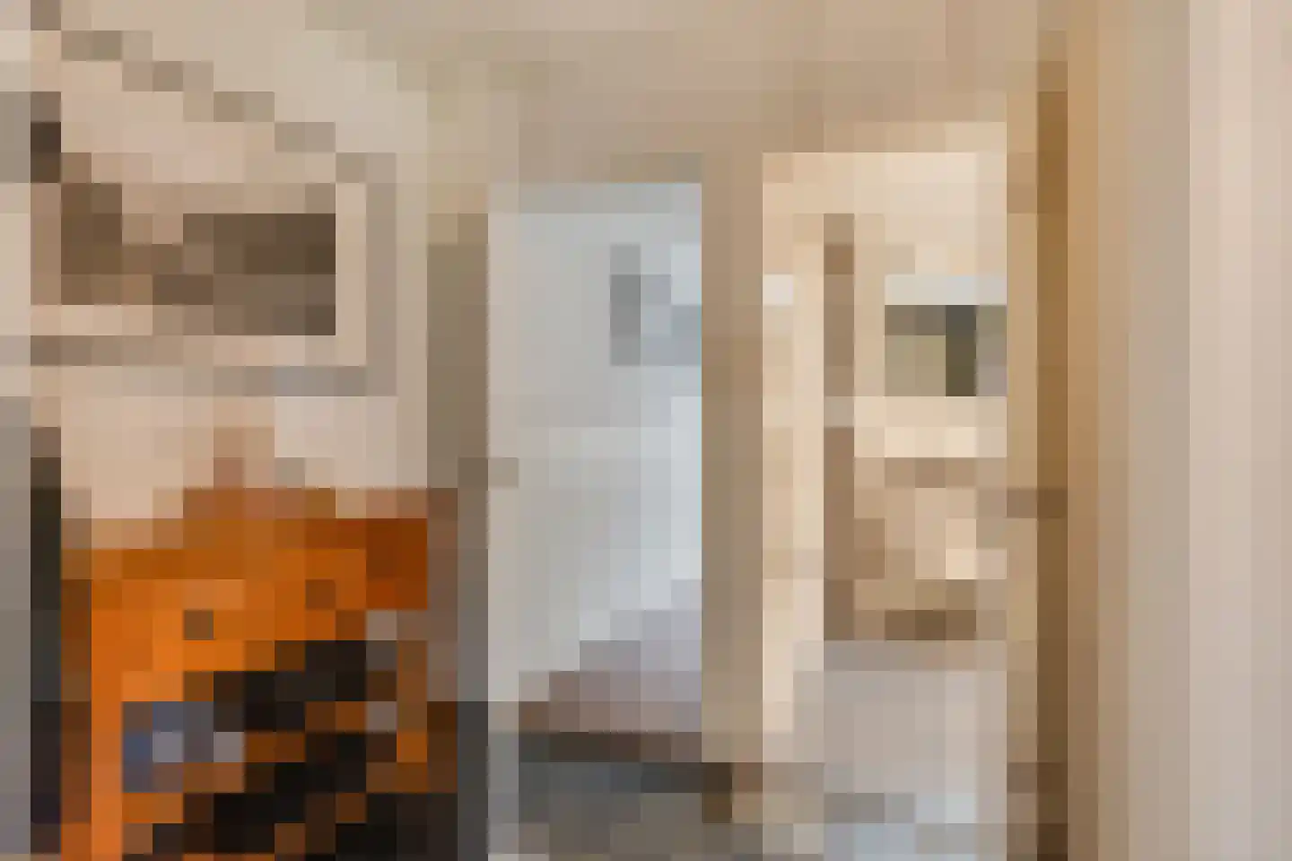 Beekstraat 42 Gaanderen thumbnail 25