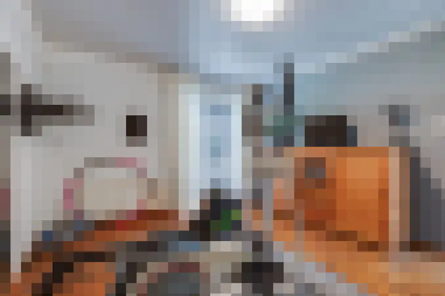 Beekstraat 42 Gaanderen thumbnail 29