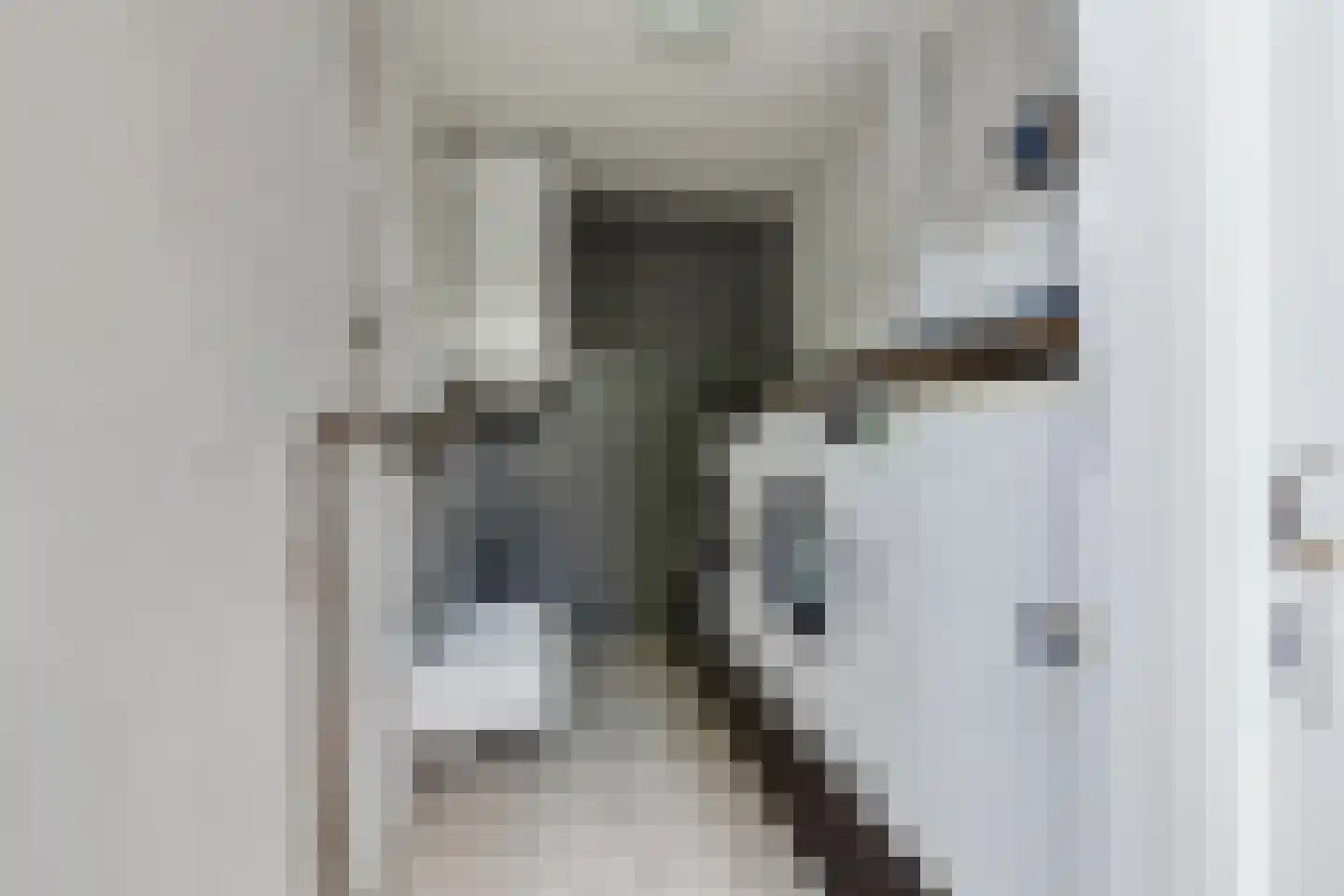 Beekstraat 42 Gaanderen thumbnail 37