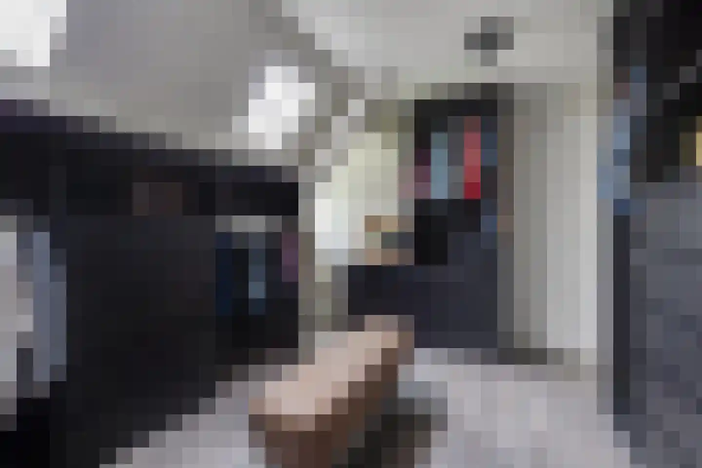 Beekstraat 42 Gaanderen thumbnail 43