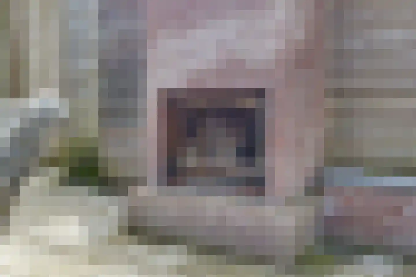 Beekstraat 42 Gaanderen thumbnail 70