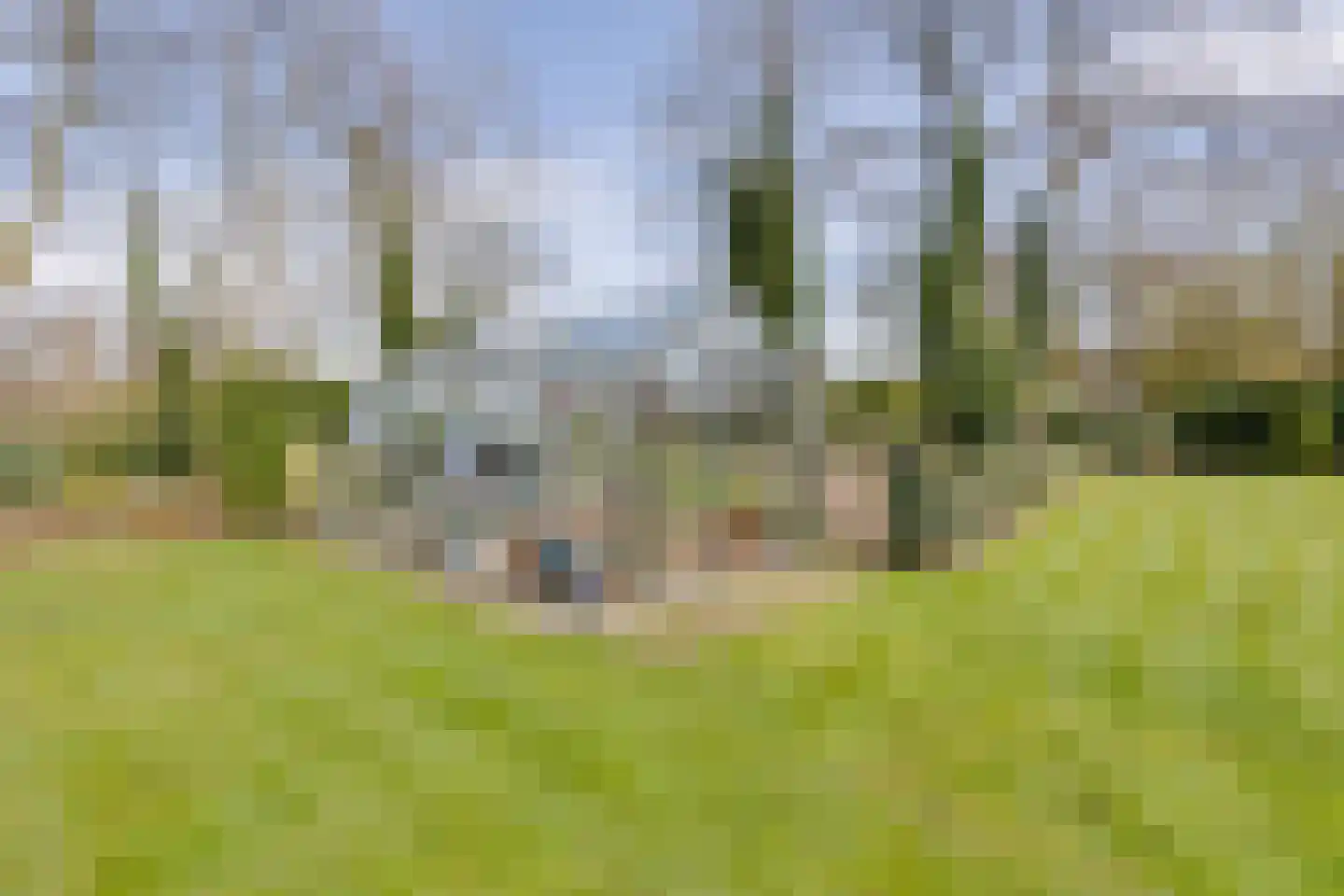 Beekstraat 42 Gaanderen thumbnail 85