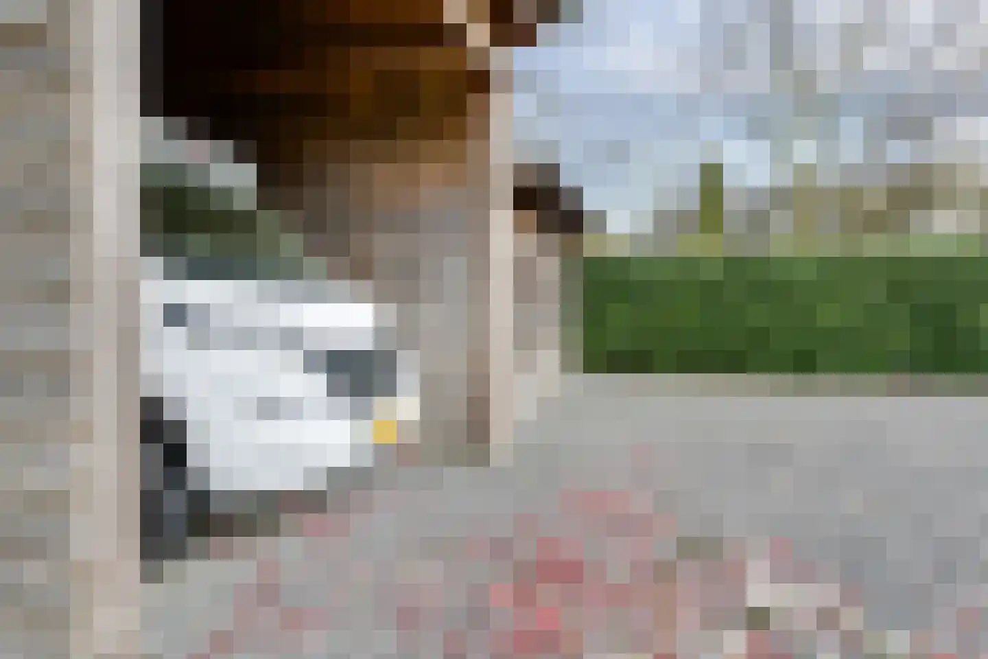 Beekstraat 42 Gaanderen thumbnail 91