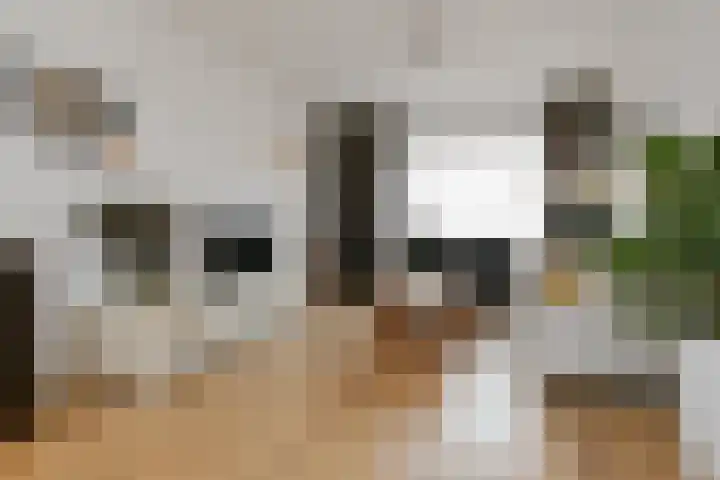 Beekstraat 49 Panningen thumbnail 6