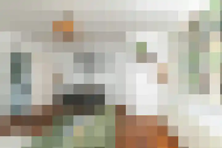 Beekstraat 7 Breda thumbnail 9