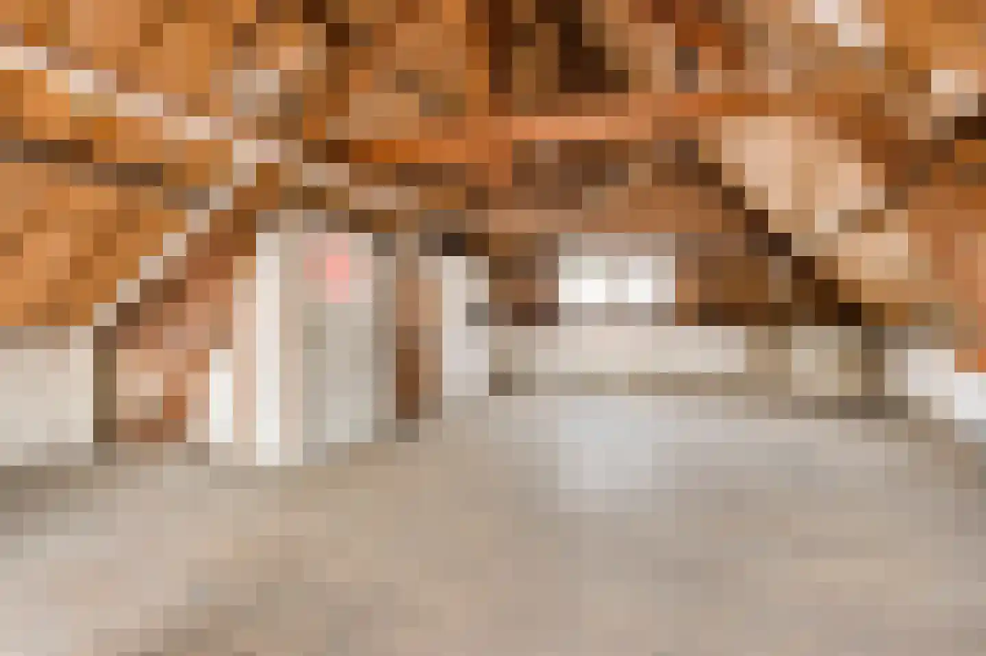 Beekstraat 85 Weert thumbnail 22