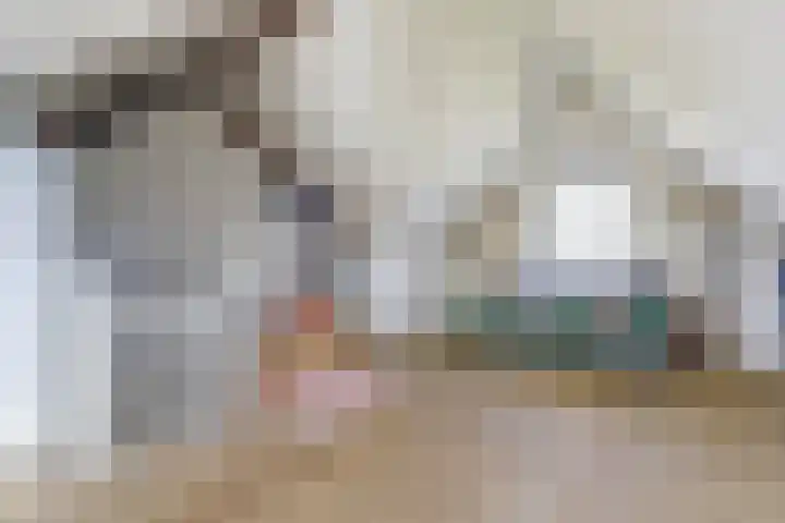 Beekvloed 2 Volkel thumbnail 23