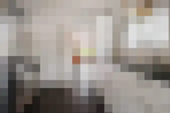 Beekvloed 20 Volkel thumbnail 13